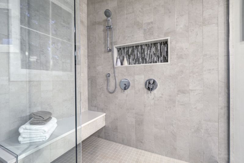 Shower Niche & Shelves